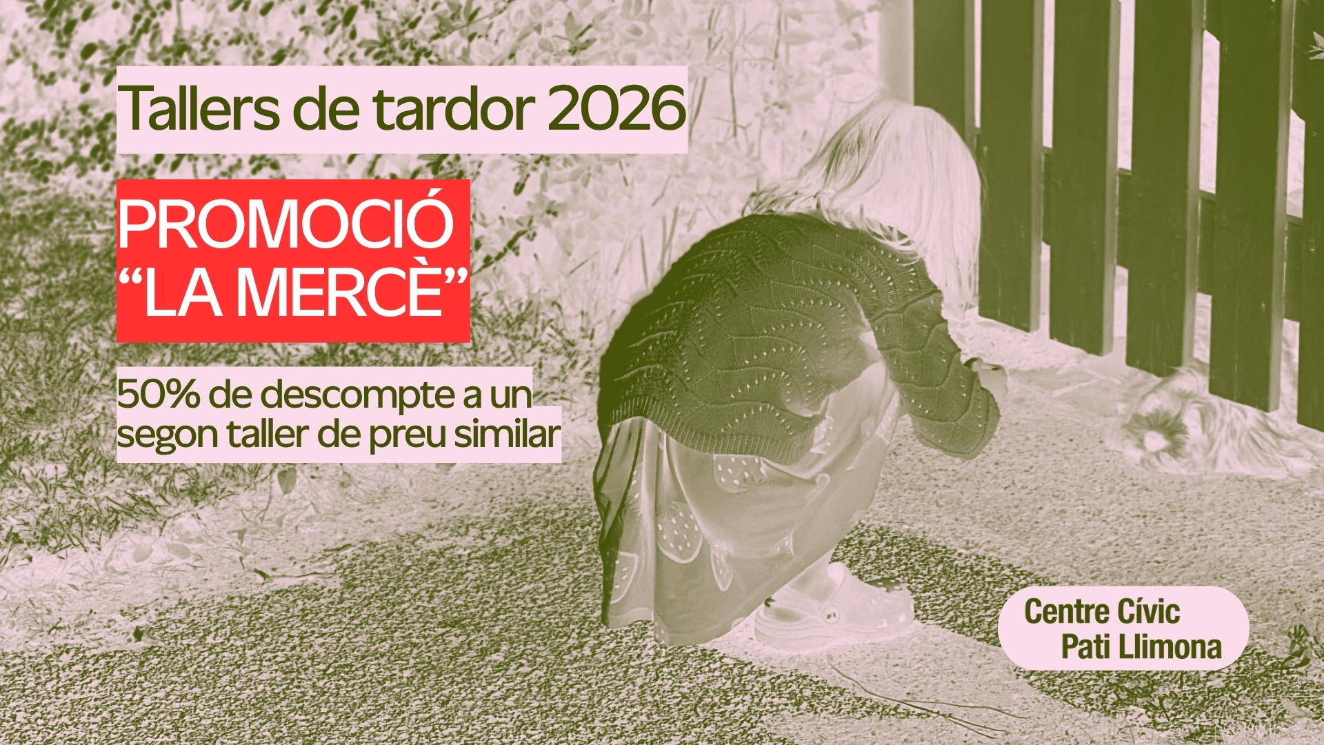 Promo Mercè 26